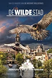 Kass Amsterdamis