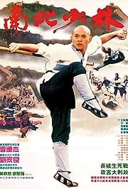 Shaolini võitluskunstid