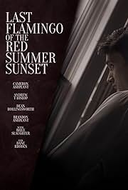 Punase suve päikeseloojangu viimane flamingo