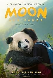 Minu sõber panda