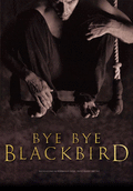 Bye Bye Blackbird